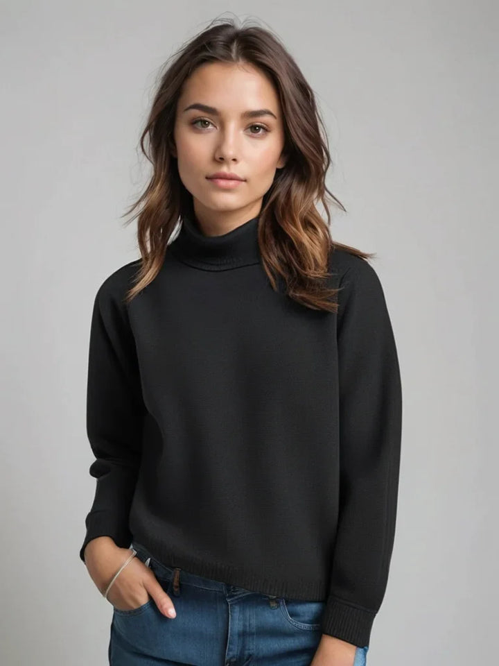 Women's Soft Knit Turtleneck Sweater